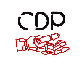 CDP (Chip Data Preparation)
