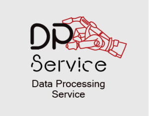 DP Service (Data Processing Service) was included in the Register of Russian software